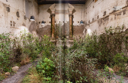 ISSUE 79 (SPRING 2024): The Pessimist Issue