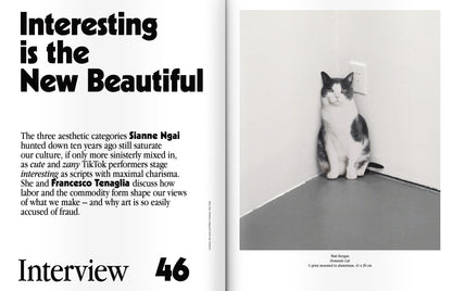 ISSUE 74 (WINTER 2022-2023): After Beauty