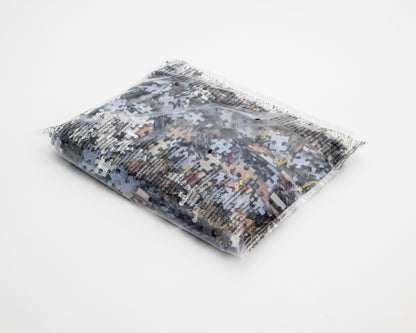 Jana Euler, »international dance 1000 pieces«, 2021