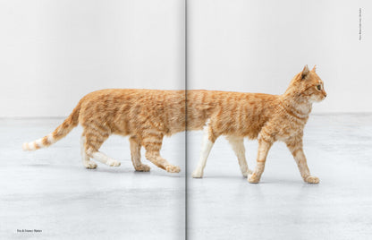 ISSUE 71 (SPRING 2022): Couples