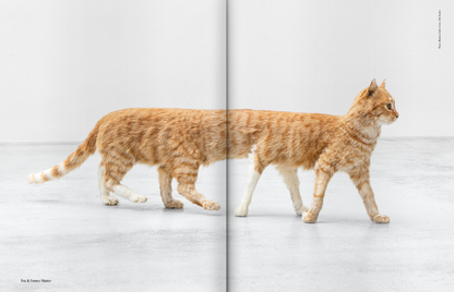 Spike ePaper (ISSUE 71): Couples