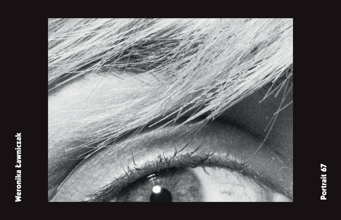 Spike ePaper (Issue 43): The Artist