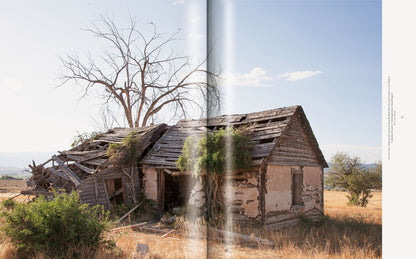 ISSUE 36 (SUMMER 2013): The Return of the Regional Curator