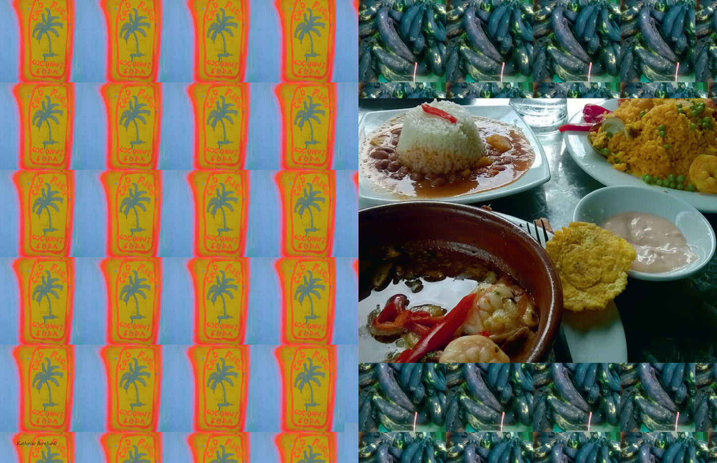 ISSUE 44 (SUMMER 2015): Painting as Code