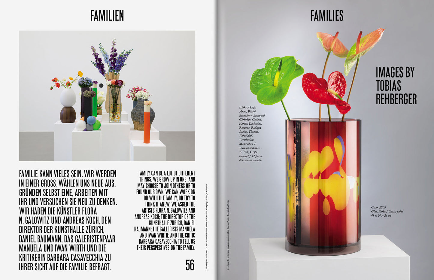 ISSUE 50 (WINTER 2017): The Family