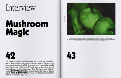 ISSUE 65 (AUTUMN 2020): Plants