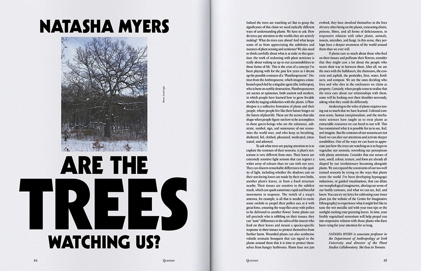 ISSUE 65 (AUTUMN 2020): Plants