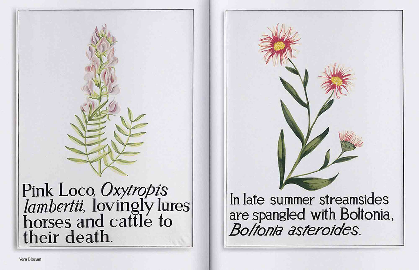 Spike ePaper (ISSUE 65): Plants