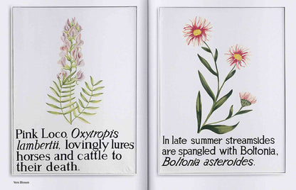 Spike ePaper (ISSUE 65): Plants